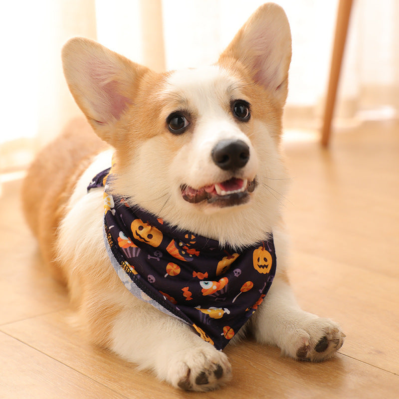 Spooky Pet Apparel