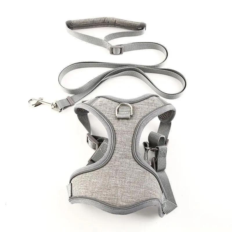 Vibrant Vest-Style Pet Leash For Cats And Dogs