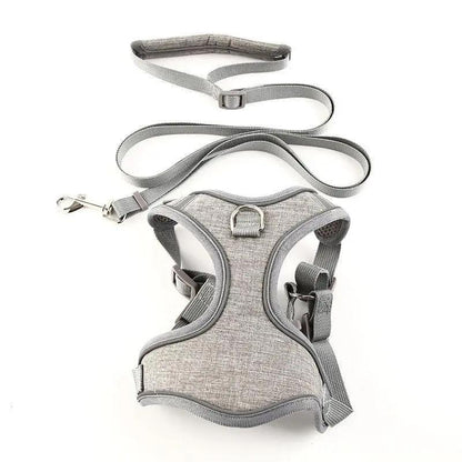 Vibrant Vest-Style Pet Leash For Cats And Dogs