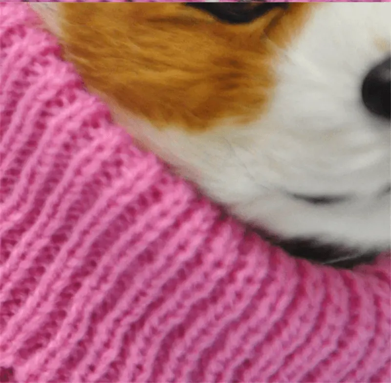 Pet Pawsome Knitted Dog Sweater - Cozy And Stylish Pet Clothing For All Seasons