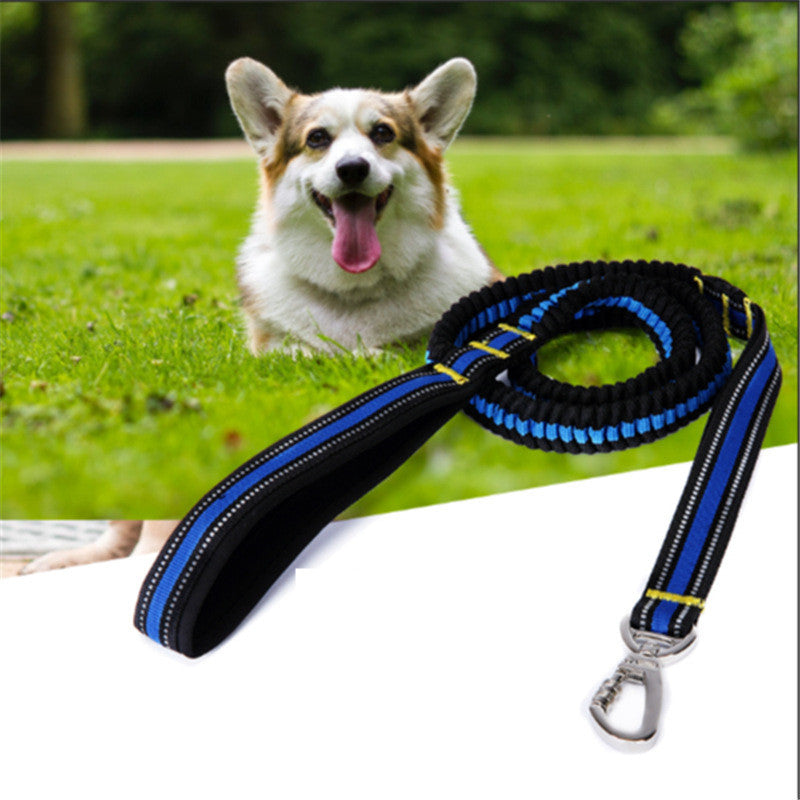 Big Dog Leash
