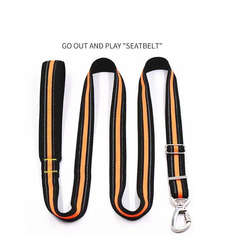 Big Dog Leash