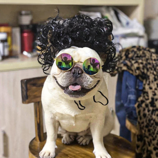 Pet Hair Accessory