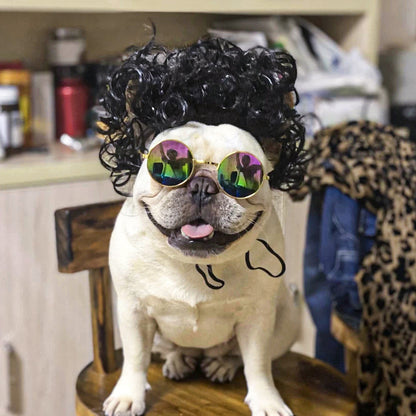 Pet Hair Accessory