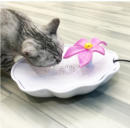 Cat Water Dispenser
