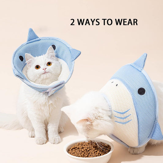 Recovery Cat Collar