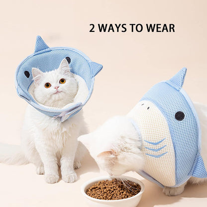 Recovery Cat Collar