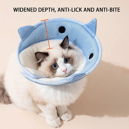 Recovery Cat Collar