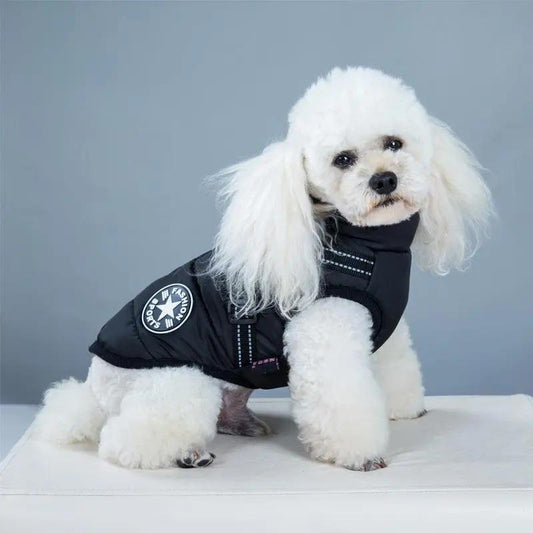 Winter Adventure Dog Coat: Waterproof, Harness-Compatible, And Stylish Pet Clothing