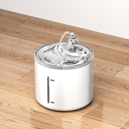 Automatic Pet Dispenser