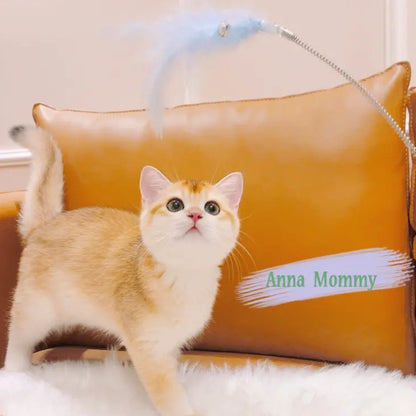 Self-Hi Cat Toy