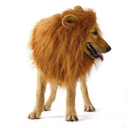Pet Cosplay Outfit