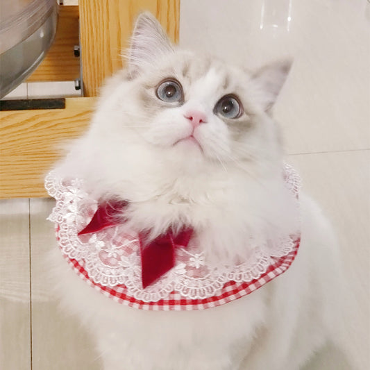 Cute Pet Jewelry
