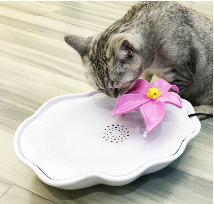 Cat Water Dispenser