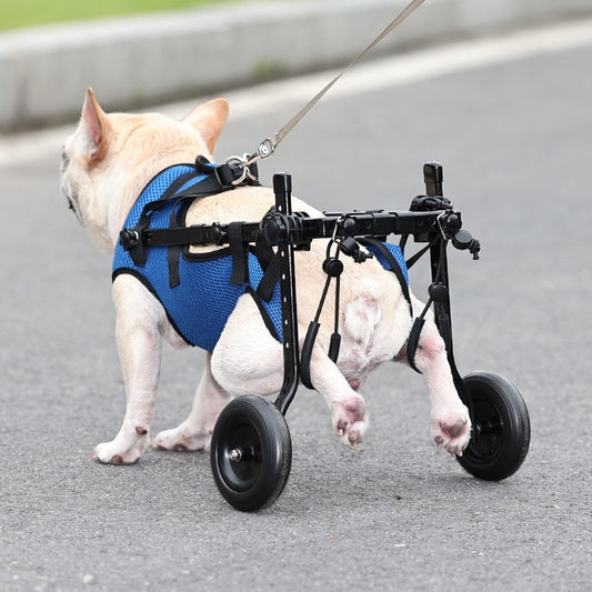 Pet Mobility Aid