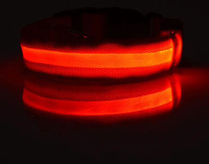 Luminous Glow-In-The-Dark Led Pet Collar: The Ultimate Night Safety Accessory For Dogs And Cats