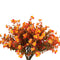 Autumn Small Horn Plum