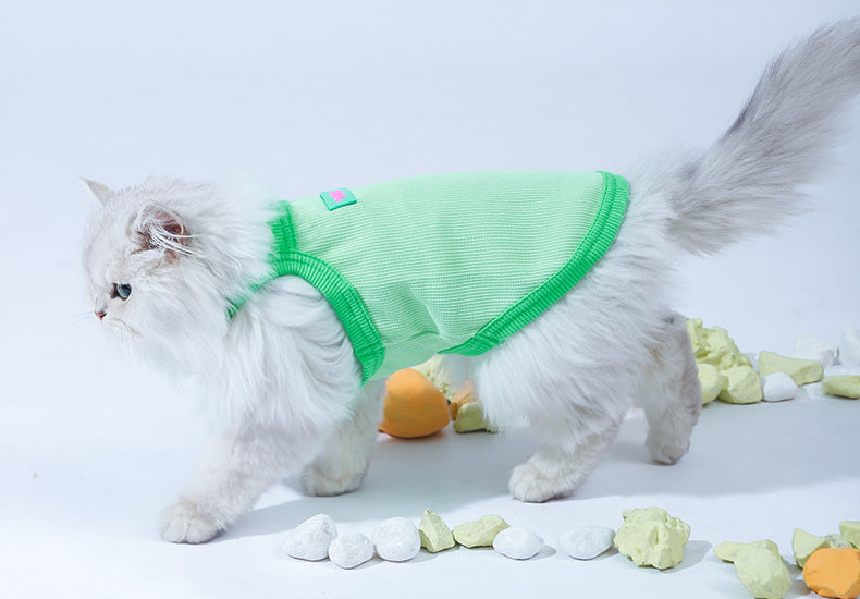Pet Cooling Vest