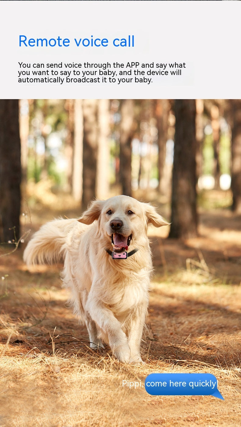 Pet Locator Collar
