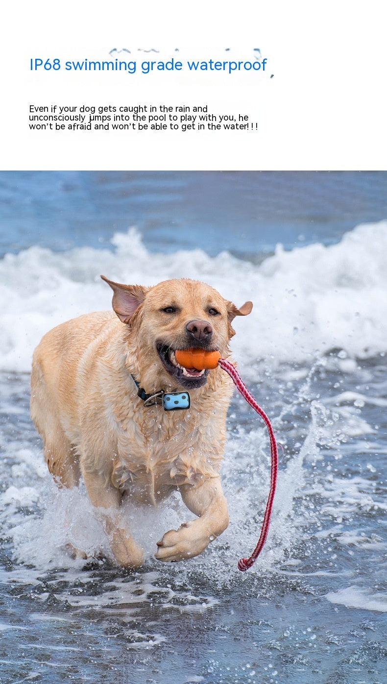 Pet Locator Collar