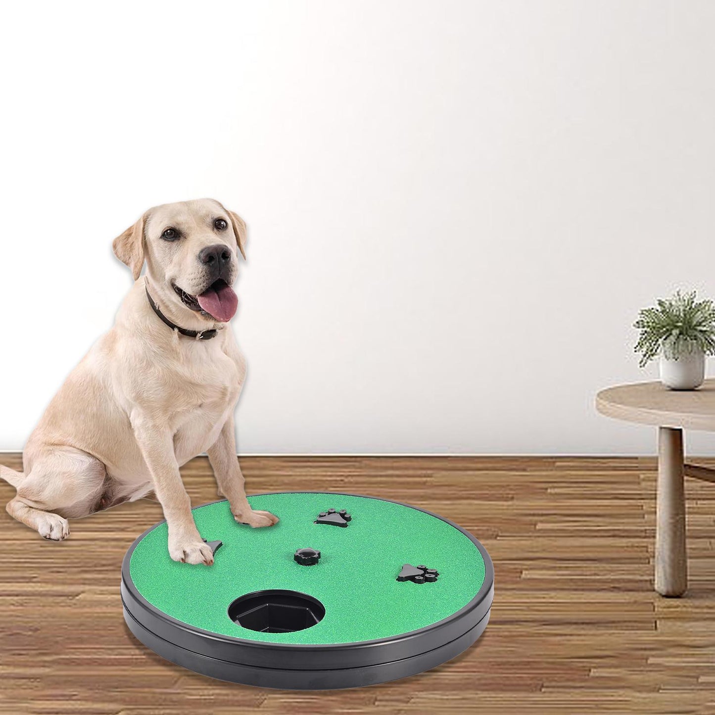 Rotatable Food Toy
