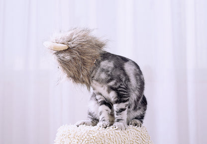 Cute Cat Headgear