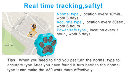 Smart Pet Collar