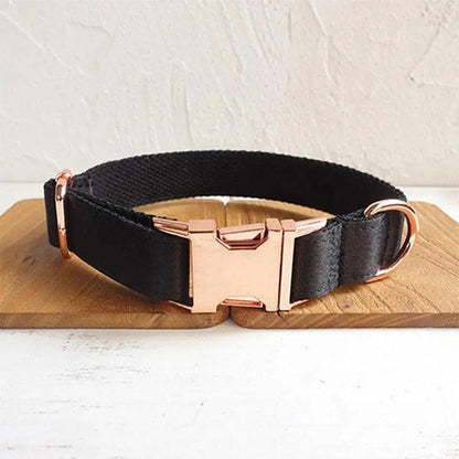 Midnight Shadow Dog Collar