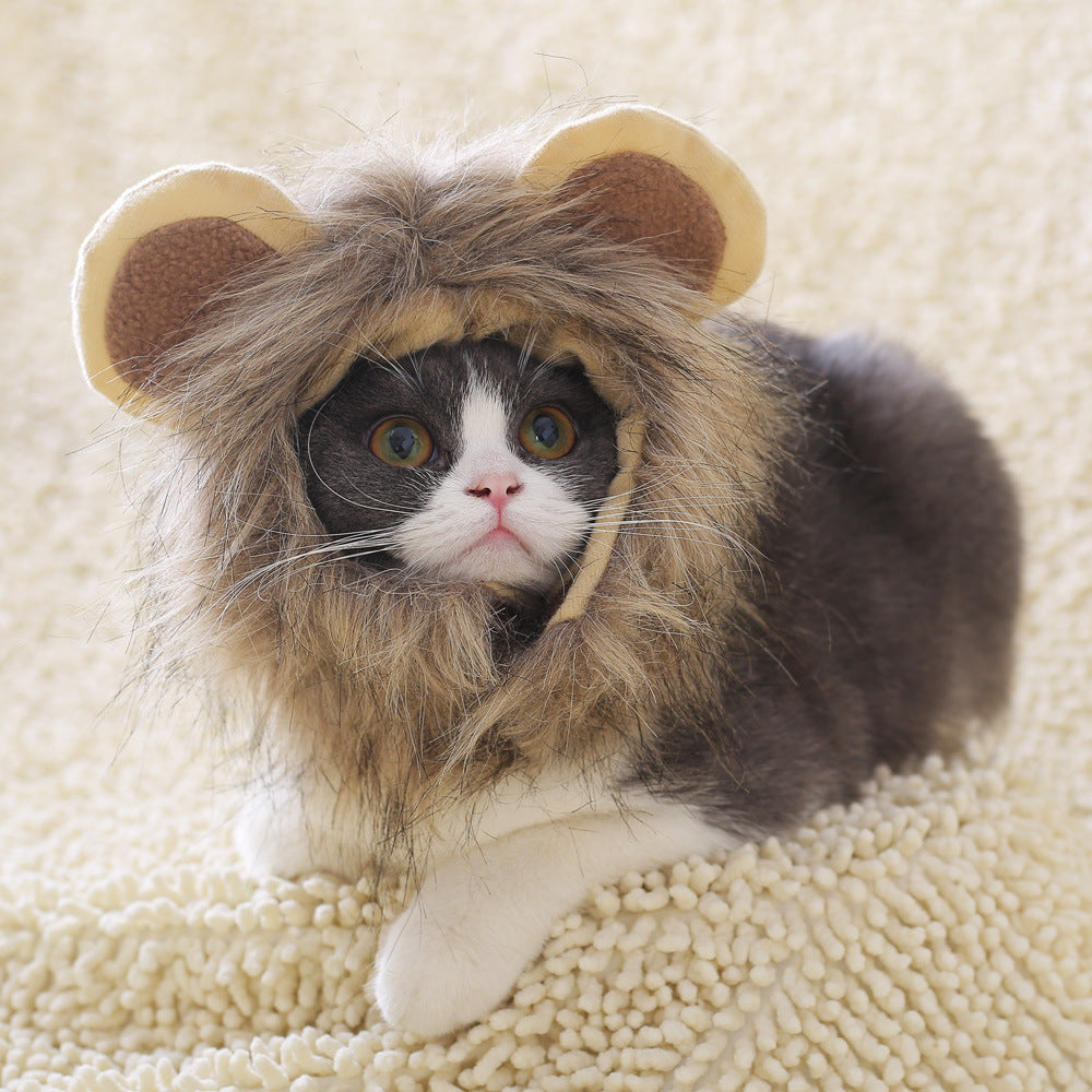 Cute Cat Headgear