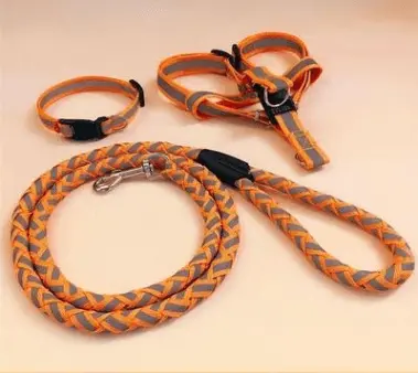 Ultimate Comfort Dog Leash