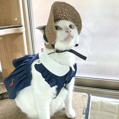 Lace Pet Hat