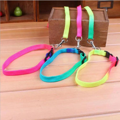 Rainbow Round Cat Leash And Dog Chain