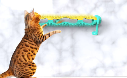 Orbit ball cat toy
