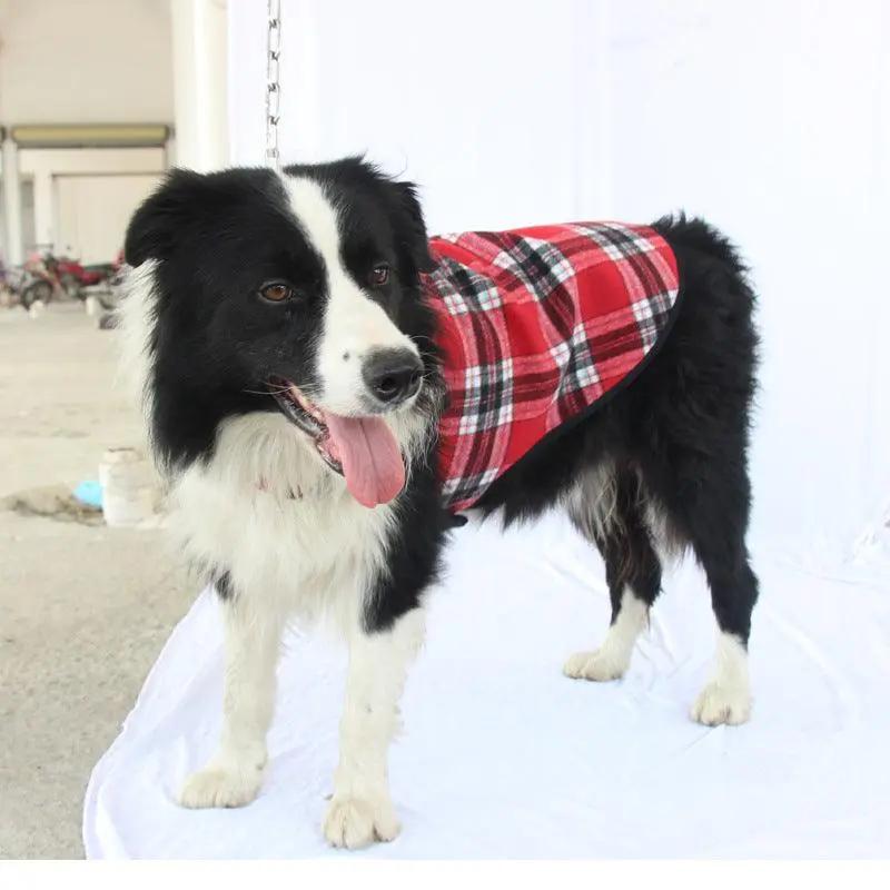 Extra Large Dog Clothing: Stylish And Comfortable Apparel For Big Dogs