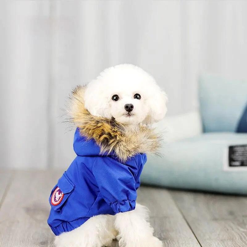 Warm And Cozy Pet Dog Winter Apparel