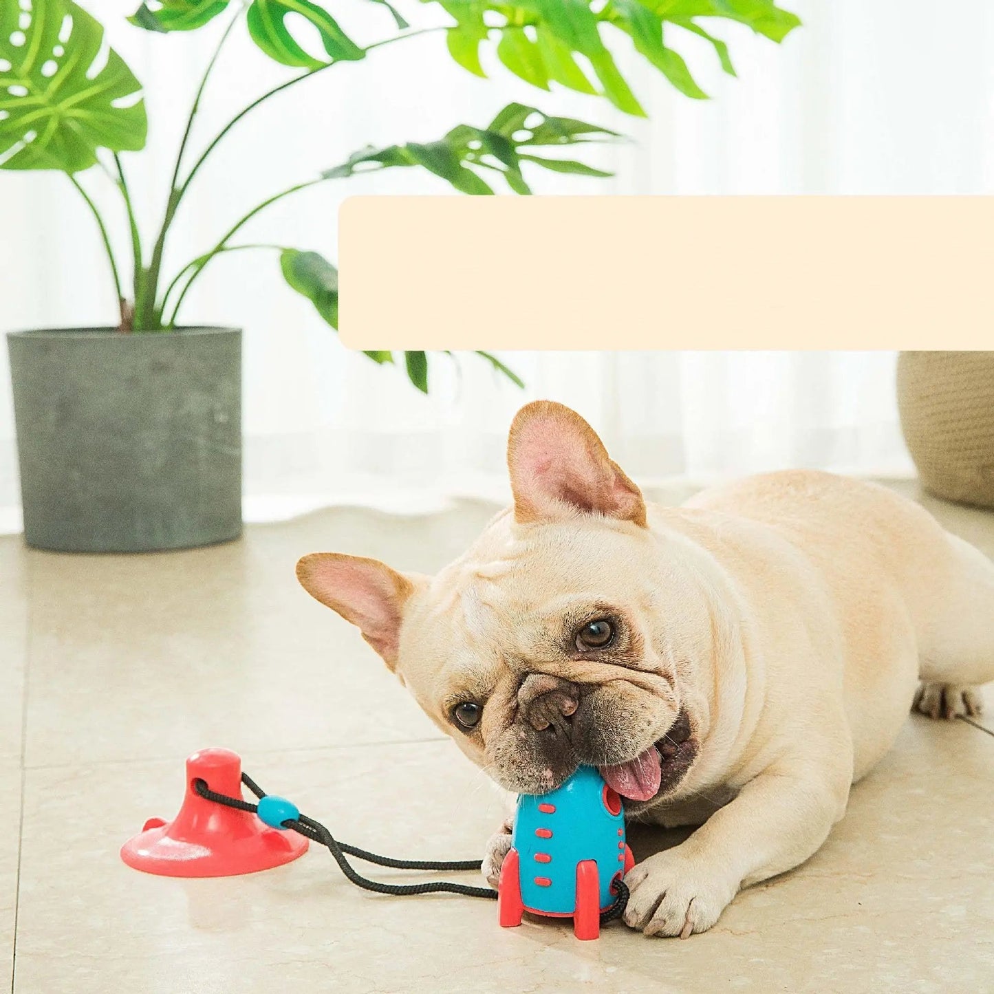Foodie Fun Silicone Dog Bite Toy - Leak-Proof And Bite-Resistant Pet Toy