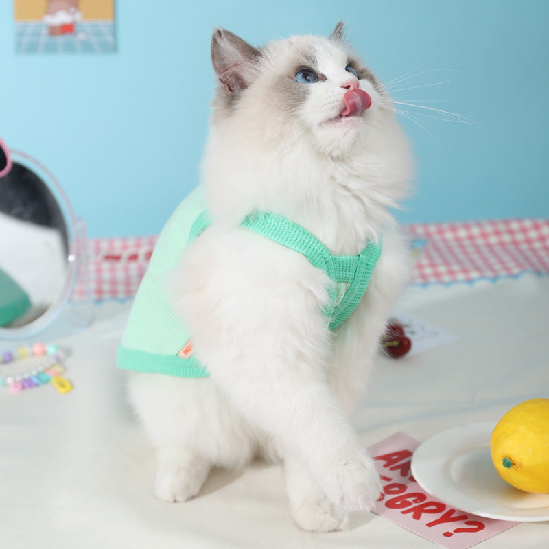 Pet Cooling Vest