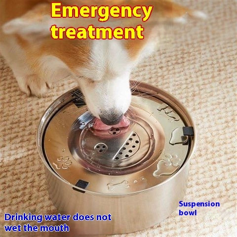 Pet Drinking Bowl