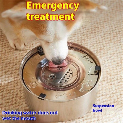 Pet Drinking Bowl