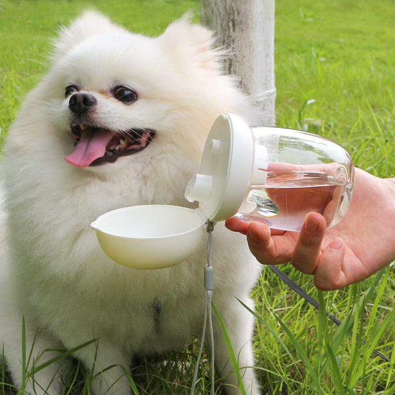 Portable Pet Bottle