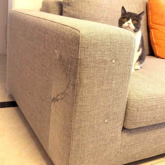 Sofa Scratch Pad