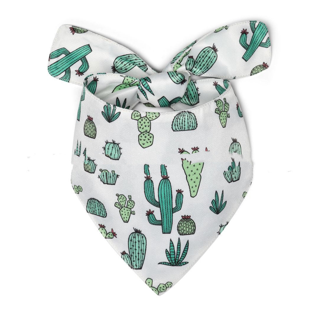 Summer Dog Scarf