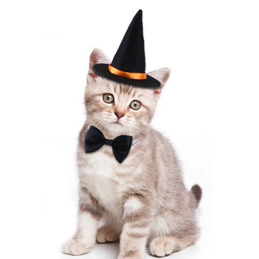 Halloween Pet Outfit