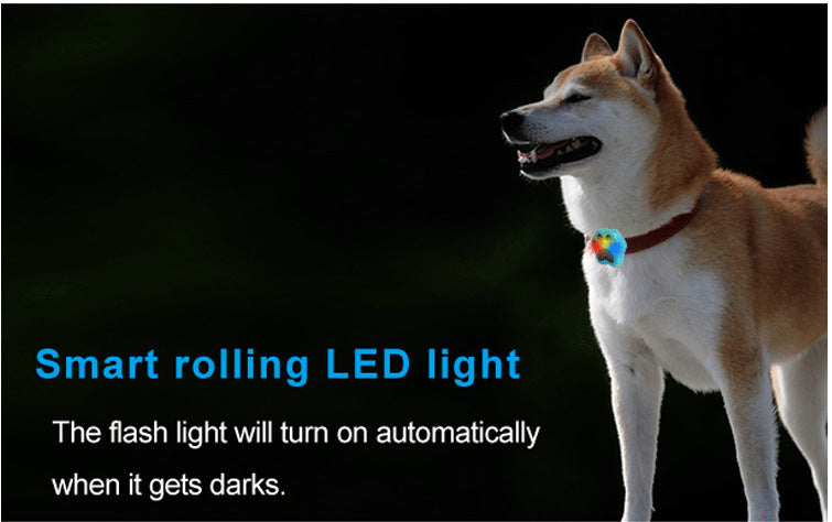 Smart Pet Collar