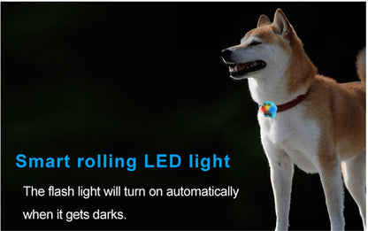Smart Pet Collar