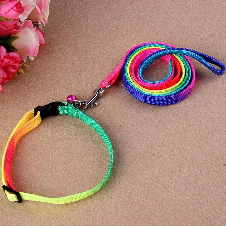 Rainbow Round Cat Leash And Dog Chain