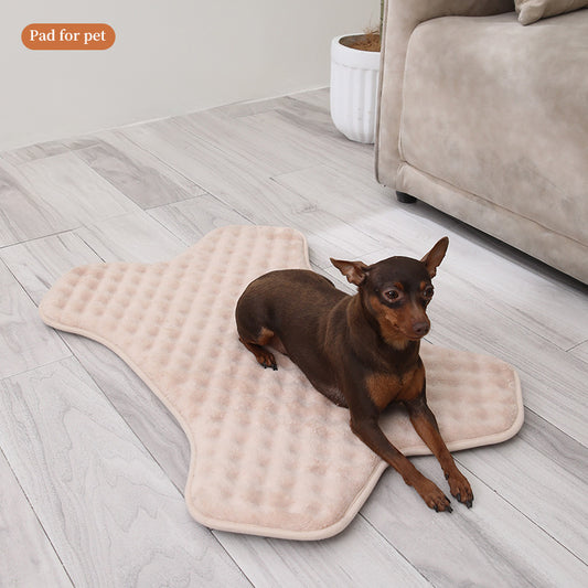 Anti-Slip Pet Mat