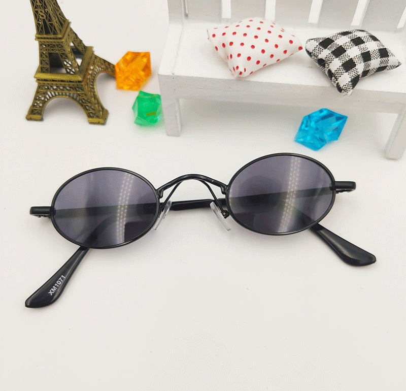 Pet Goggles Toy