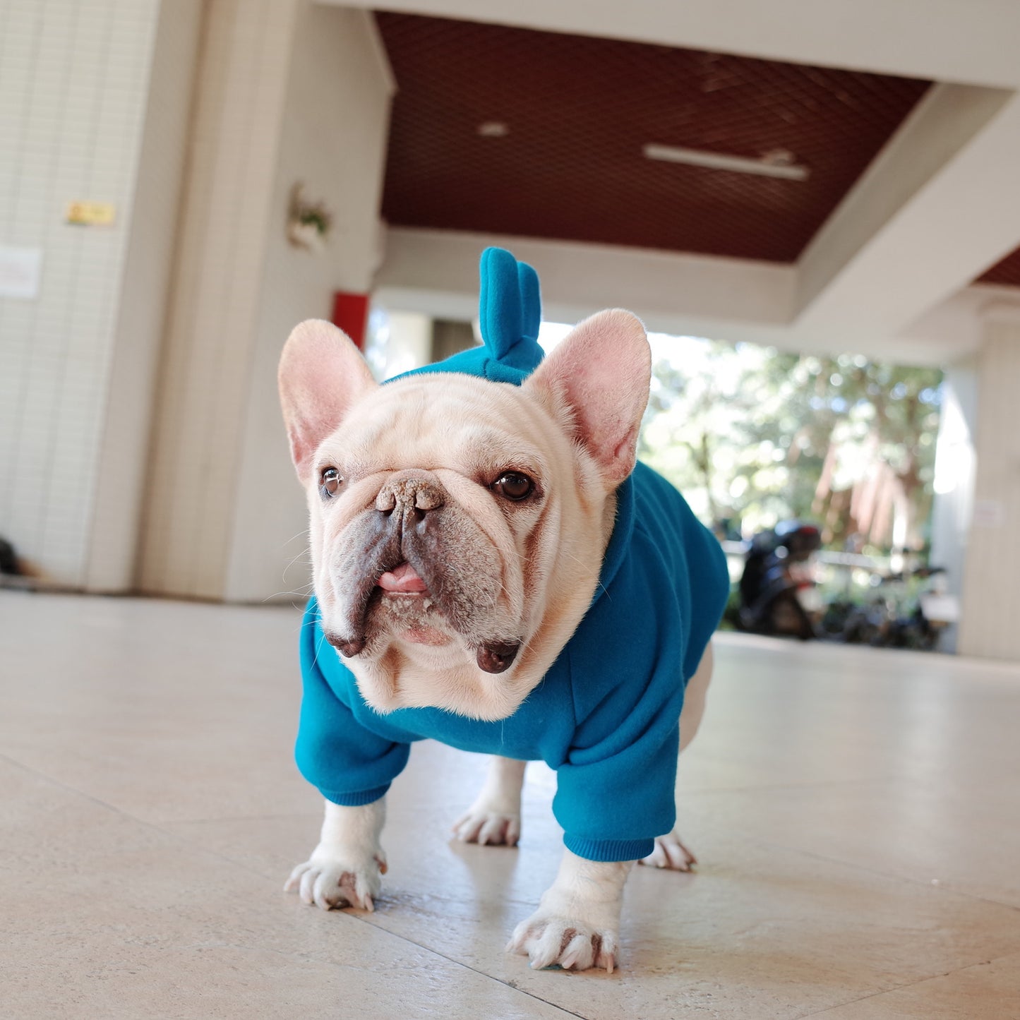 Pet Fleece Jacket