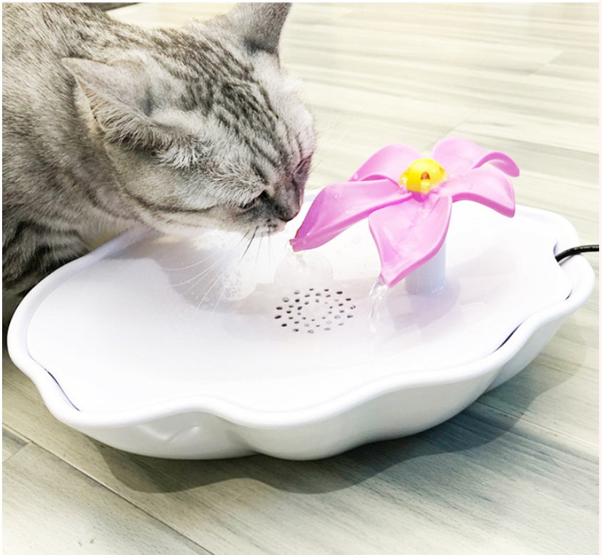 Cat Water Dispenser